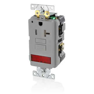 LEV GFPL2-PLGÿLEV GFPL2-PLG