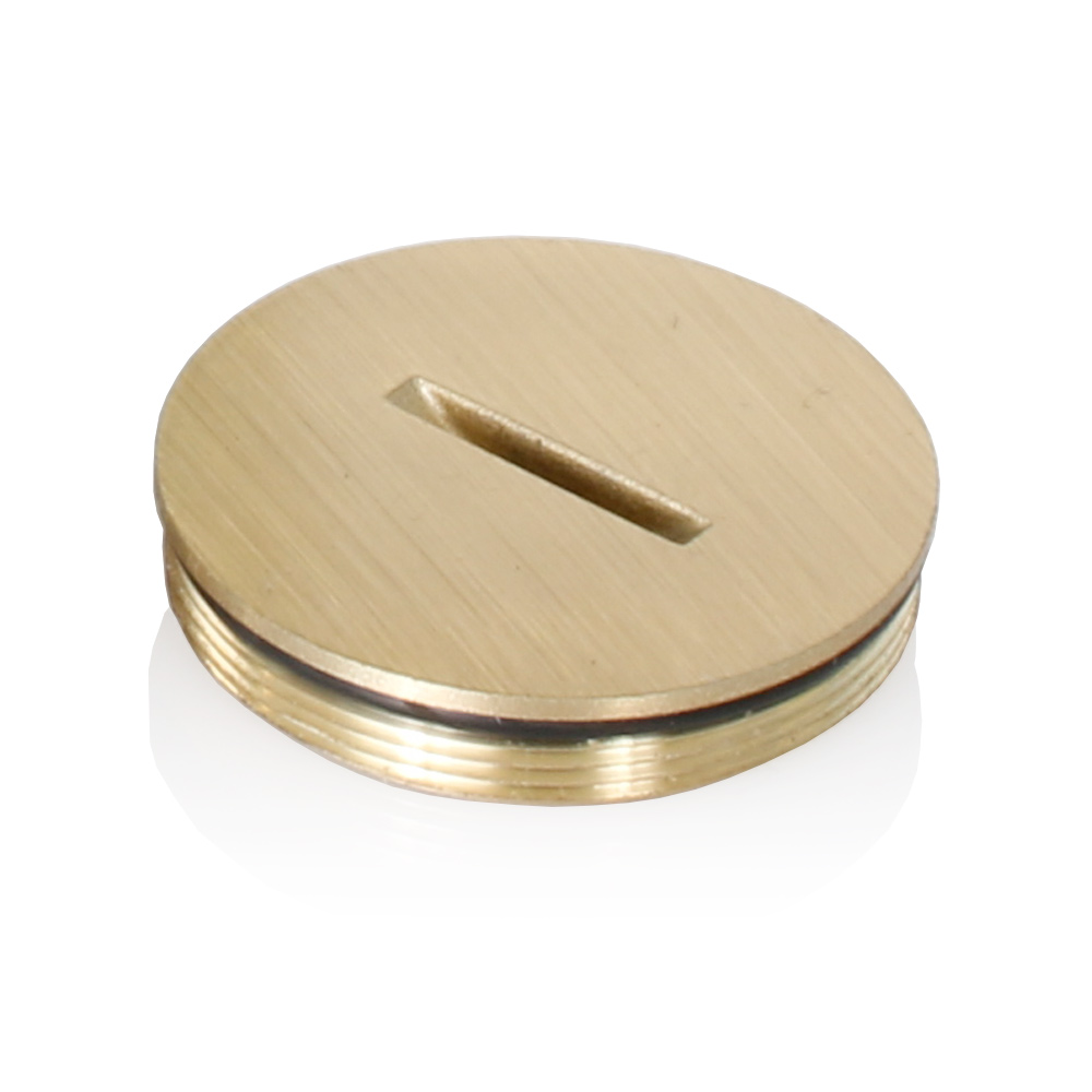 LEV 5249-CAP