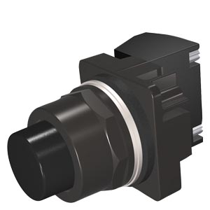 Image thumbnail 4