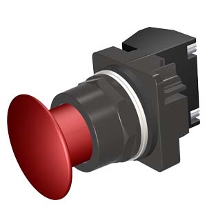 Image thumbnail 4