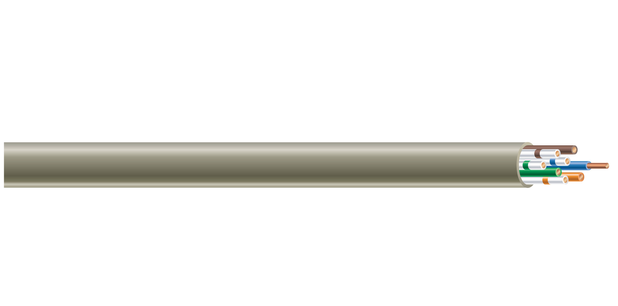 COLEMAN 9669561623ÿCOLEMAN 9669561623