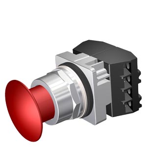 Image thumbnail 4