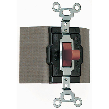 Legrand Pass & Seymour 1498NT Replacement Key For Manual Controller Switch – Fits Units Made From 1976 To Present