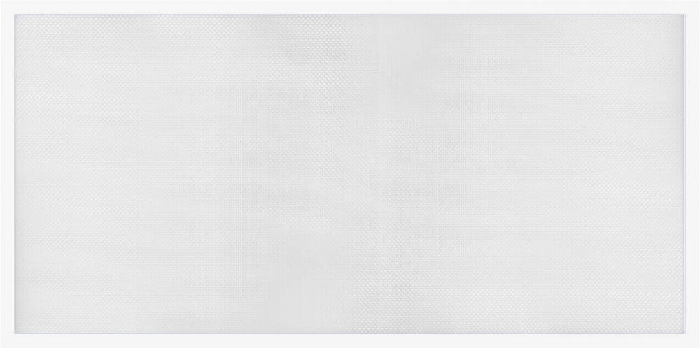 LITH CPX-2X4-4000LM-40K-M2