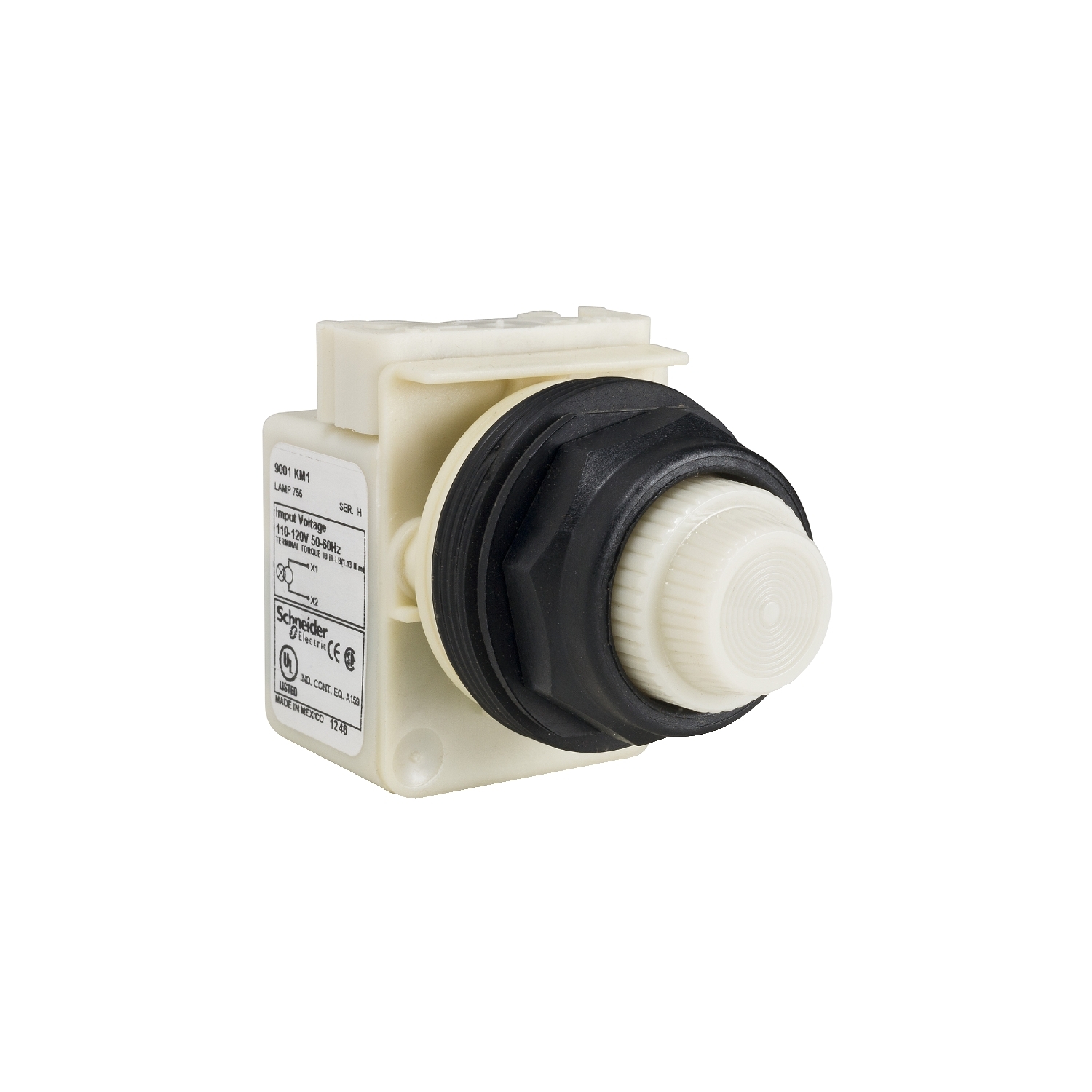 30mm push button, Type SK, pilot light, 208/220VAC transformer light module, white plastic fresnel lens, NEMA 4, 4X